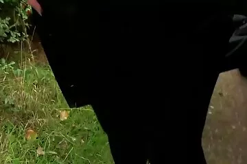 Cô gái tóc vàng xinh đẹp thổi kèn phim hoat hinh đit nhau gợi cảm.