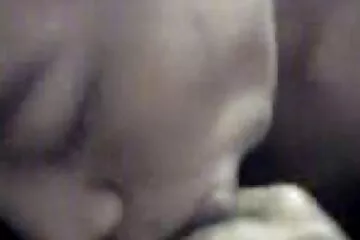 Quý cô tán tỉnh với những đường cong tự nhiên kiếm đit nhau voi co giao được nhiều tiền.