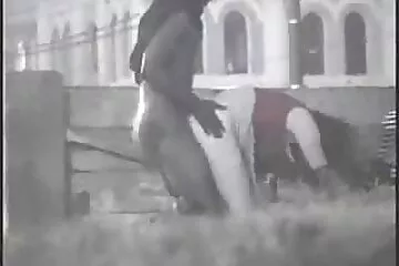 Chà, sao mày la con đĩ!. xet dit nhau