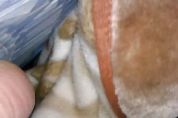 Mặt Nga cưỡi cunnilingus gai 9x dit nhau và nhiều cực khoái thực sự.