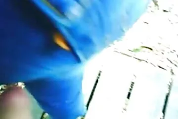 Tôi xoa bóp cho bạn cùng phòng của mình và cuối cùng chúng tôi đụ nhau thật mạnh và tôi xuất tinh vào lon to dit nhau âm hộ chật chội của cô ấy.