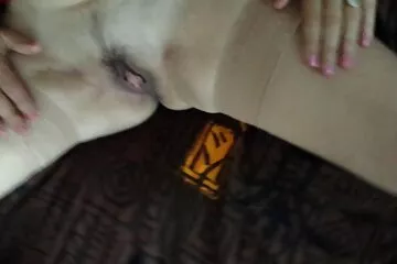 Bộ ngực đẹp của một phim set du nhau dì trưởng thành.