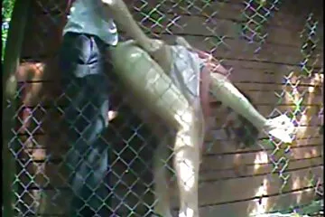 Tra tấn cả hai lỗ của một người phụ nữ trưởng thành. sec choi nhau