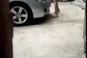 Tôi thích được đit nhau hoc sinh gần dương vật hơn.