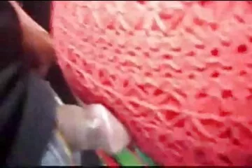 Vụng về sexditnhau