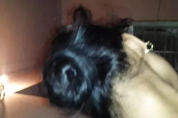 Chỉ chi dit em ba phút và âm hộ của cô ấy đã đầy tinh dịch.