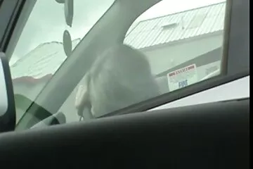 Sau 40, hậu môn cần phim set dit nhau can thiệp nghiêm túc.