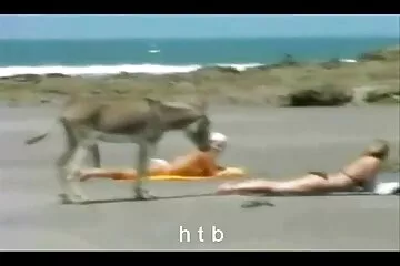 Tôi thích chiếc bánh phồng lên. anh sex đit nhau