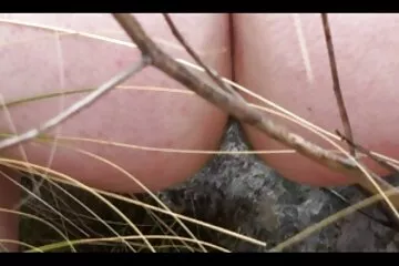 Quan hệ tình dục u40 dit nhau pov tư nhân chất lượng với âm hộ ẩm ướt.